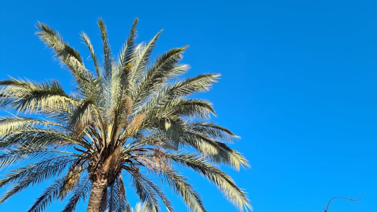 Ellies Hus Malaga